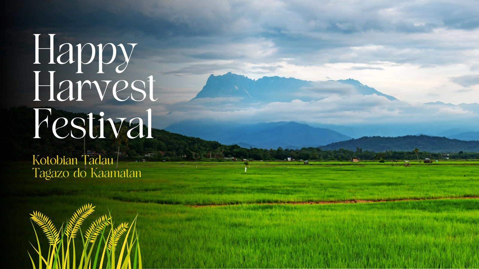 Kaamatan Festival